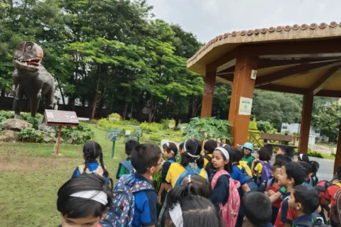 IMG_20250628_105454 (Large)